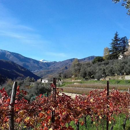 Agriturismo A Ca Du Paiperu Pieve di Teco Exteriör bild