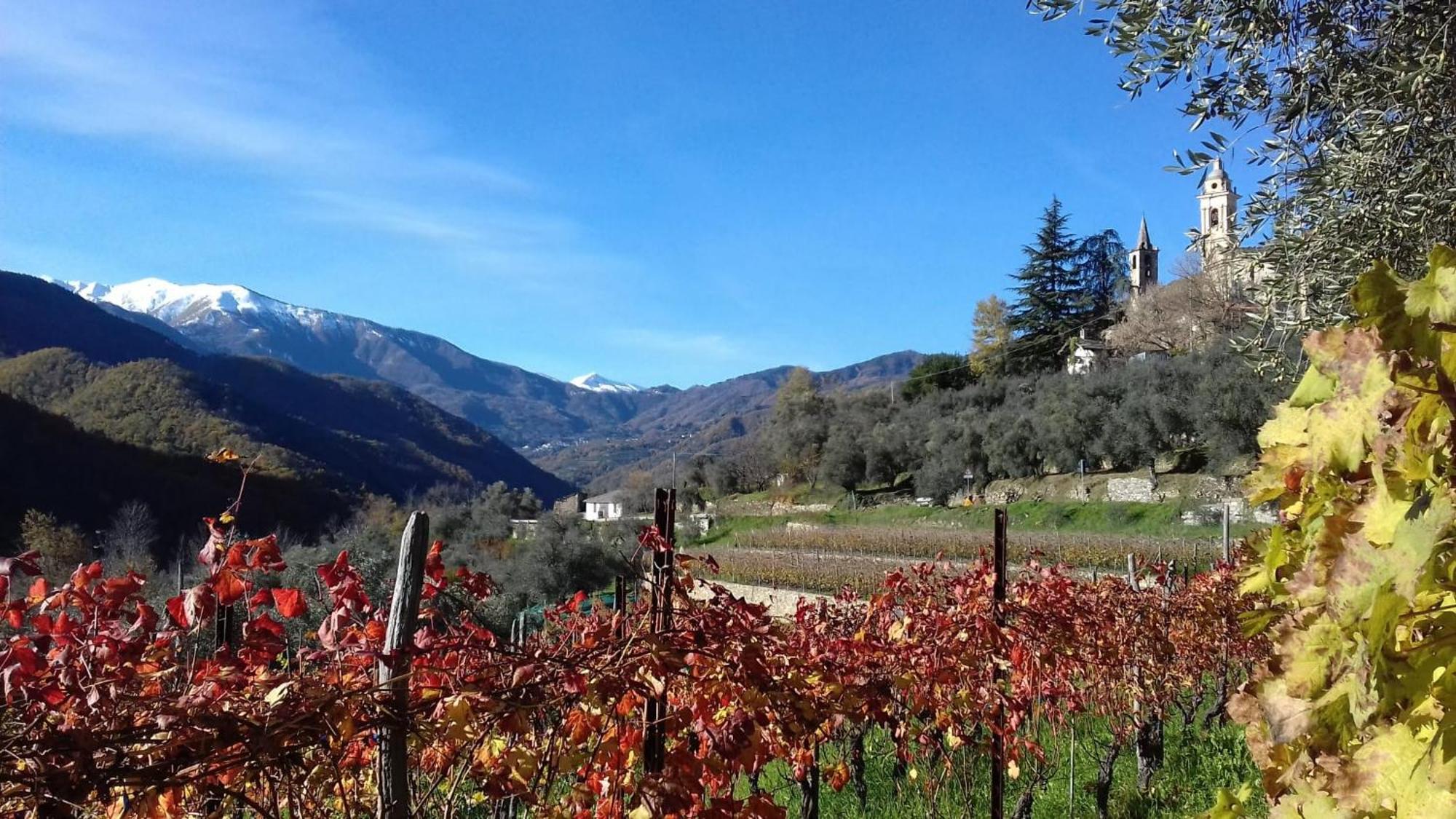 Agriturismo A Ca Du Paiperu Pieve di Teco Exteriör bild