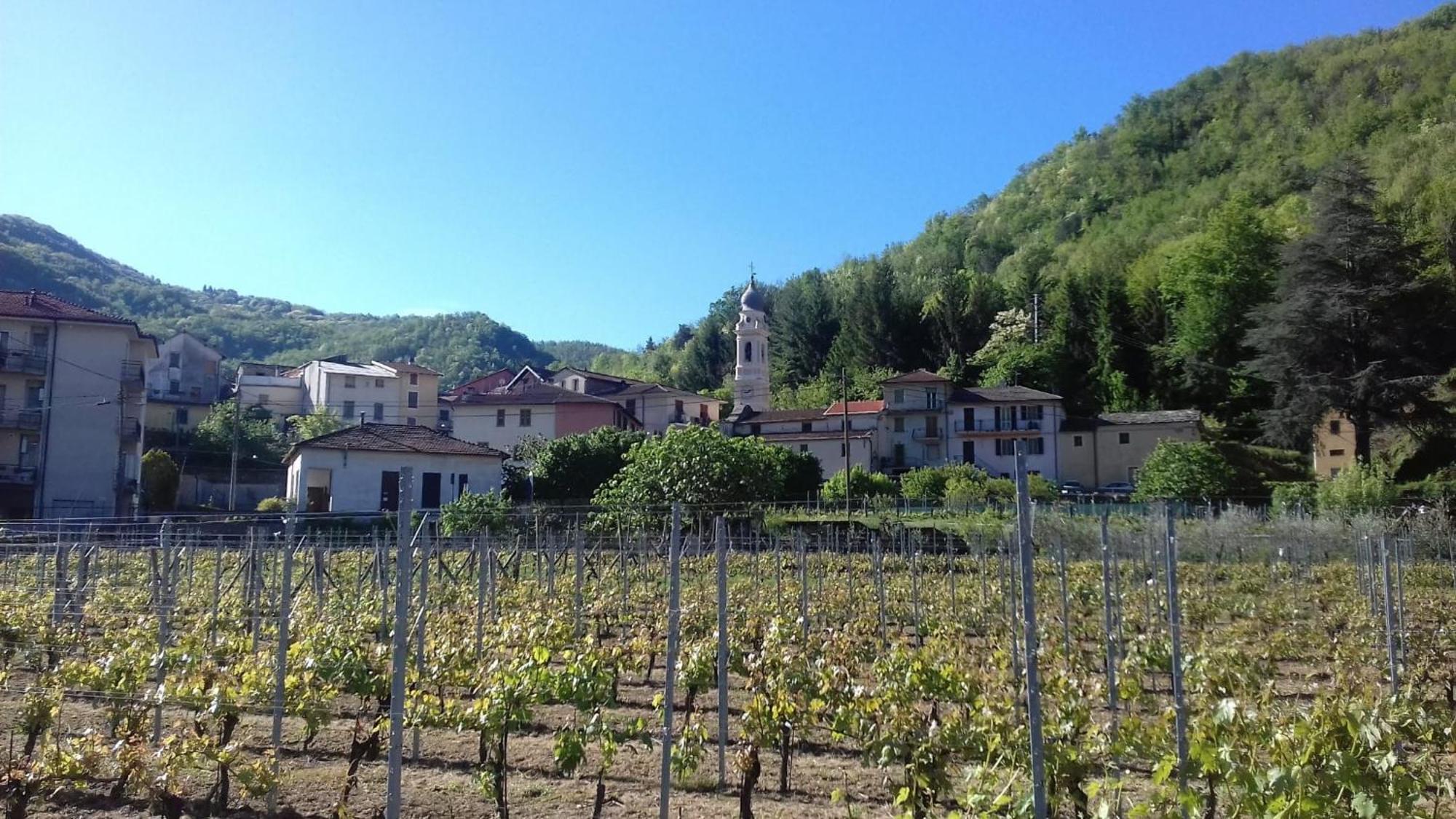 Agriturismo A Ca Du Paiperu Pieve di Teco Exteriör bild